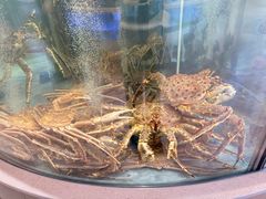 -海底捞大排档火锅(打浦路店)