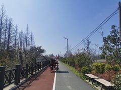 -上海长兴岛郊野公园