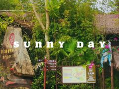 -海南槟榔谷黎苗文化旅游区