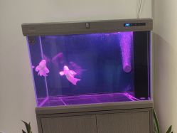 点击看大图 -海涛医疗美容·面部抗衰·注射美鼻