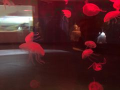 -常州海昌海洋探索馆