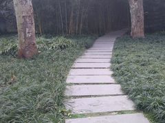 景点-望江楼公园