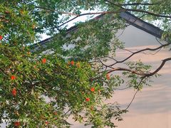 -鲁迅故里东入口停车场