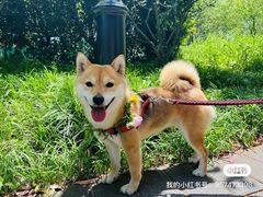 -多乐之日(田林东路店)