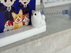 -中农国际动物医院24小时·猫科·骨科·急重症中心