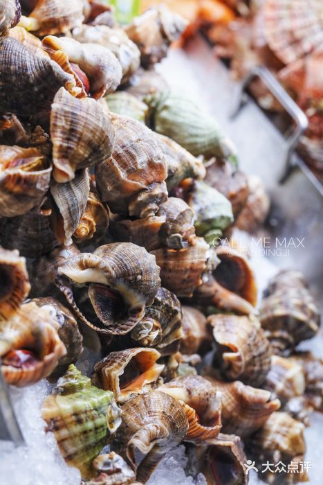 沈阳和平艾美酒店新食谱西餐厅图片