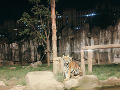 -上海野生动物园