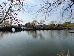 -无锡蠡湖国家湿地公园-蠡园