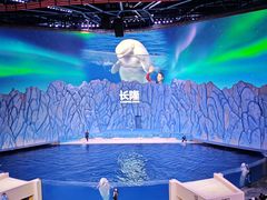 -珠海长隆海洋王国