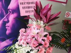 -天幕新彩云国际影城(激光巨幕店)