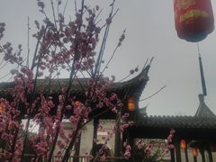 -河下古镇-梁红玉祠