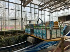 -南宫五洲植物乐园