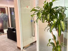 -中国民生银行(上海同福支行)