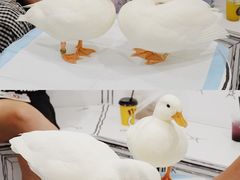 -白夜2D咖啡馆