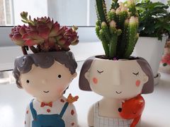 -秦美花卉(天朗·莱茵小城2期店)