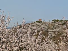 -白水寺森林公园