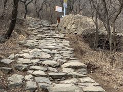 -阳台山自然风景区