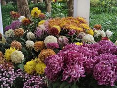 -杭州植物园