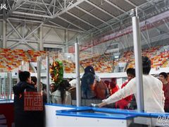 -上海大学生体育中心游泳馆(松江店)