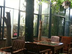 -阿鹏故事云南野生菌火锅(人民路店)