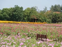 -江苏三台山国家森林公园