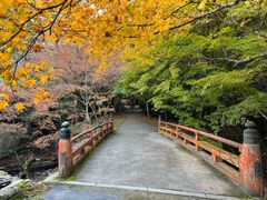 -醍醐寺