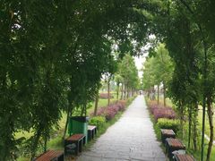 -木兰水镇旅游景区
