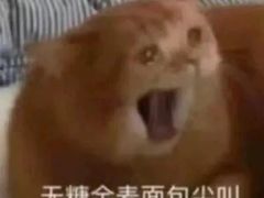 -贵州辣子鸡番茄鸡