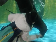 -大连圣亚海洋世界