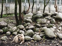 -青峰峡国家森林公园