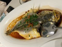-维园悦谱·海派家常菜(乌鲁木齐南路店)