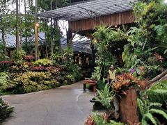 -绿光森林餐厅