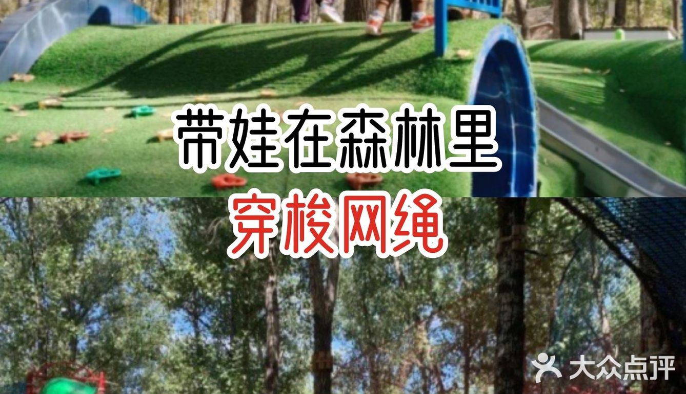 带娃在森林里穿梭网绳