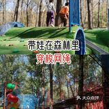 带娃在森林里穿梭网绳