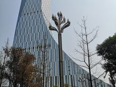 -桂溪生态公园