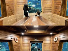 -长鹿旅游休博园