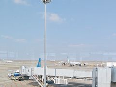 -上海浦东国际机场-T2航站楼