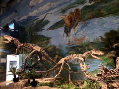 -自贡恐龙博物馆