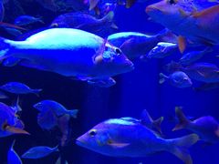 -成都浩海立方海洋公园