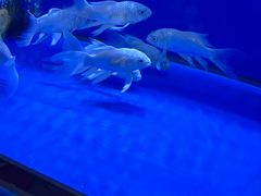 -万达广场(惠州大亚湾店)