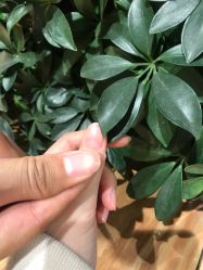 -悦诗风吟innisfree
