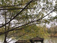 -梁鸿国家湿地公园
