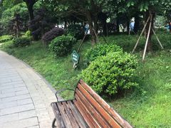 -孺子亭公园