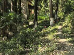 -莫干山风景区