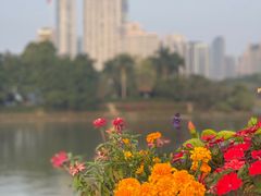 -海心沙亚运公园