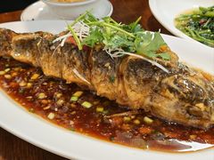 糖醋脆皮鱼-永乐饭店
