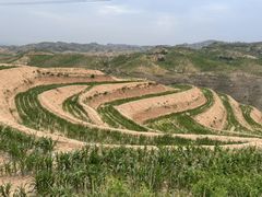 -天下黄河第一湾