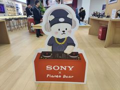 -Sony Store 索尼(来福士店)