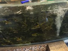 -荣德灶台鱼(圣泉寺店)