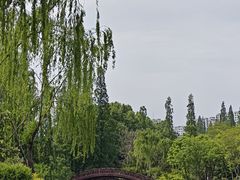 -桃花岛公园